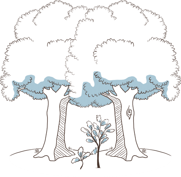 Uhlmann PR | Illustration für Familie, zwei Bäume mit Sprösslingen