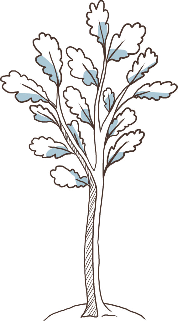 Uhlmann PR | Illustration junger Baum